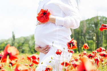 Similar image 9170306