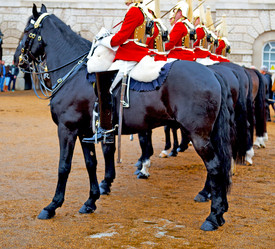 Similar image 9172455