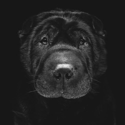 Similar image 9174615