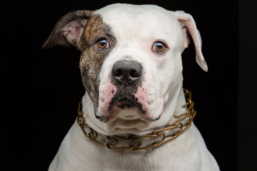 Similar image 9174621