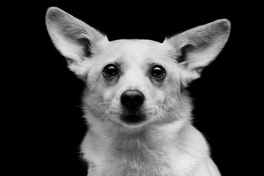 Similar image 9174727