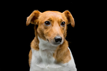 Similar image 9174739