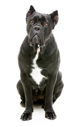 Similar image 9174754