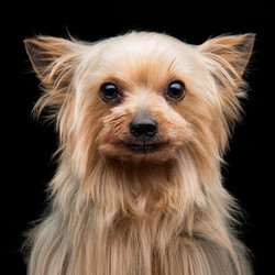 Similar image 9175109