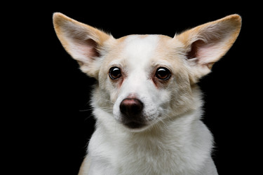 Similar image 9175116