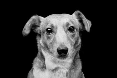 Similar image 9175132