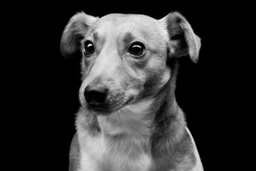 Similar image 9175139