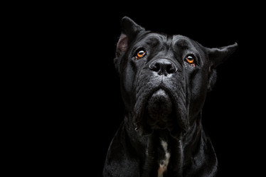 Similar image 9175196