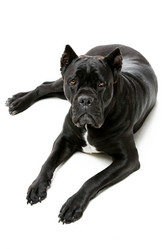 Similar image 9175206