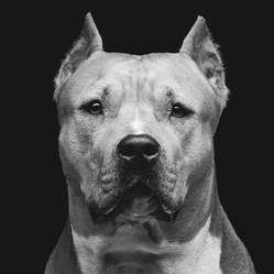 Similar image 9175218