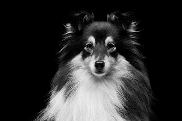 Similar image 9175230