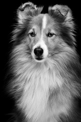 Similar image 9175297