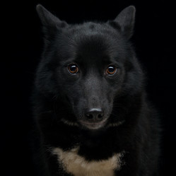 Similar image 9175301