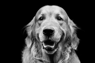 Similar image 9175315