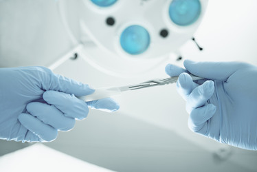 Similar image 9175523