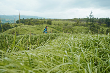 Similar image 9175726