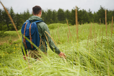 Similar image 9175731