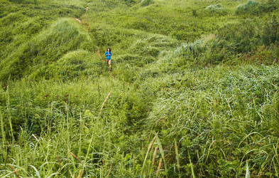 Similar image 9175807