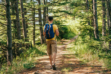 Similar image 9175823