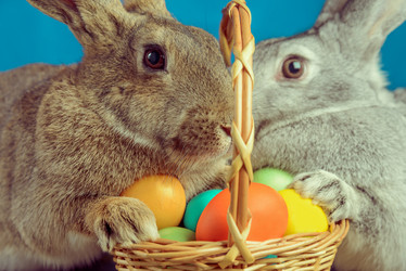 Similar image 9176045