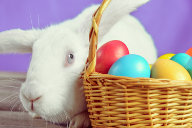 Similar image 9176126