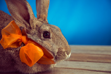 Similar image 9176133