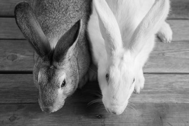 Similar image 9176139