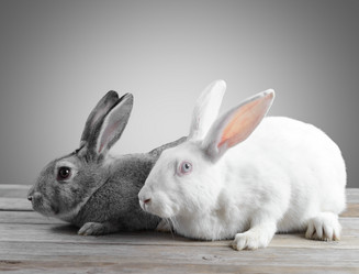 Similar image 9176144