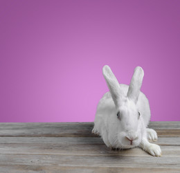 Similar image 9176310