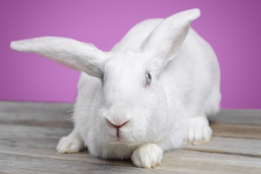 Similar image 9176316