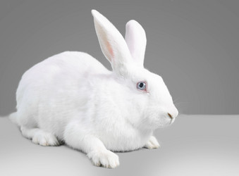 Similar image 9176317