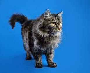 Similar image 9176319