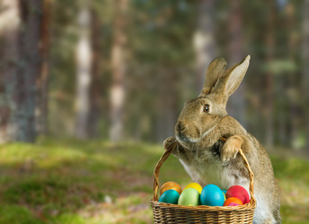 Similar image 9176323