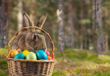 Similar image 9176325