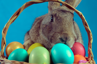 Similar image 9176328