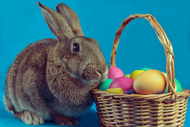 Similar image 9176330