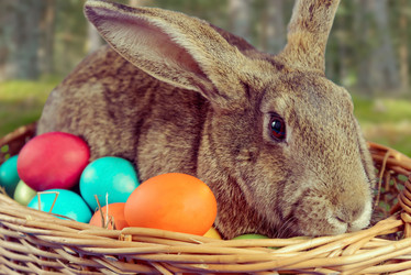 Similar image 9176333