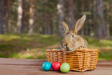 Similar image 9176342