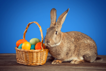 Similar image 9176346