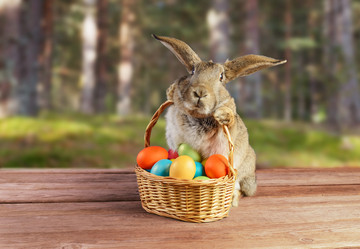 Similar image 9176368