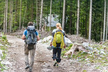 Similar image 9176461