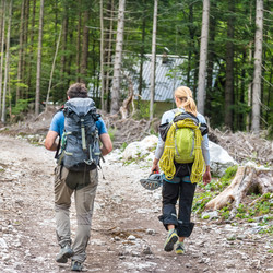 Similar image 9176483