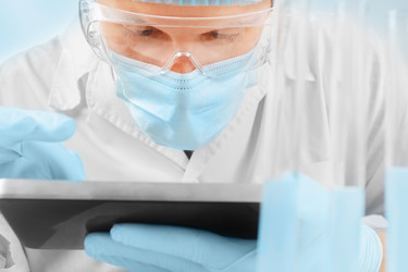 Similar image 9176550