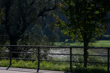 Similar image 9176944