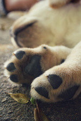 Similar image 9177453