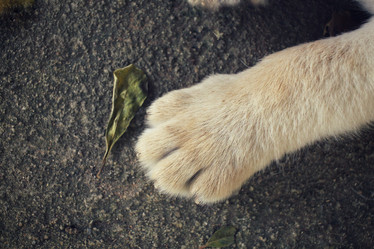 Similar image 9177455