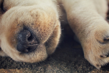 Similar image 9177457