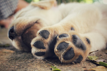 Similar image 9177459