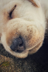 Similar image 9177463