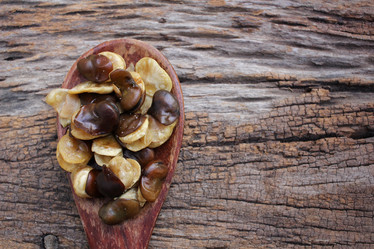 Similar image 9177469